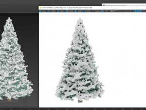 abies no 2 with snow 3D Model