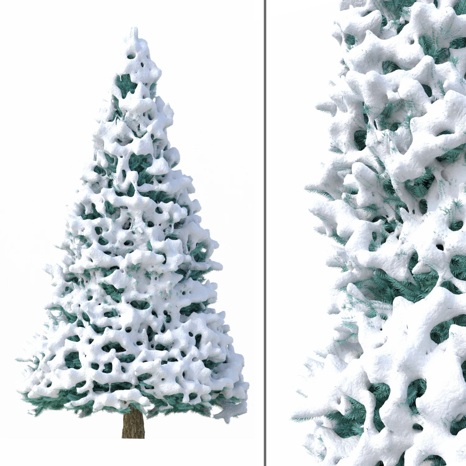 abies no 2 with snow 3D Model .c4d .max .obj .3ds .fbx .stl .blend