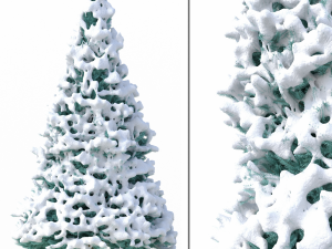 abies no 2 with snow 3D Model