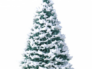 abies no 1 with snow 3D Model