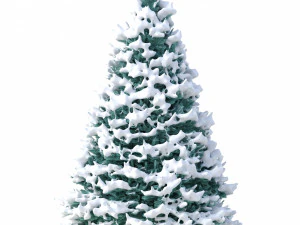abies no 1 with snow 3D Model