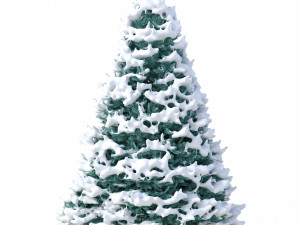 abies no 1 with snow 3D Model