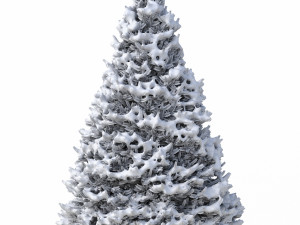 abies no 1 with snow 3D Model