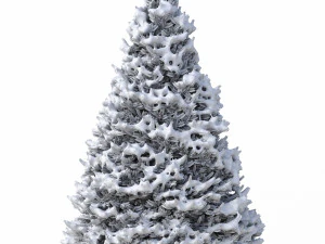 abies no 1 with snow 3D Model