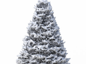 abies no 1 with snow 3D Model
