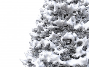 abies no 1 with snow 3D Model