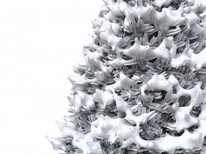 abies no 1 with snow 3D Model