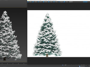 abies no 1 with snow 3D Model