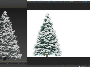 abies no 1 with snow 3D Model