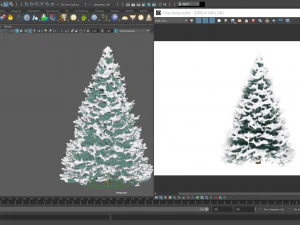 abies no 1 with snow 3D Model