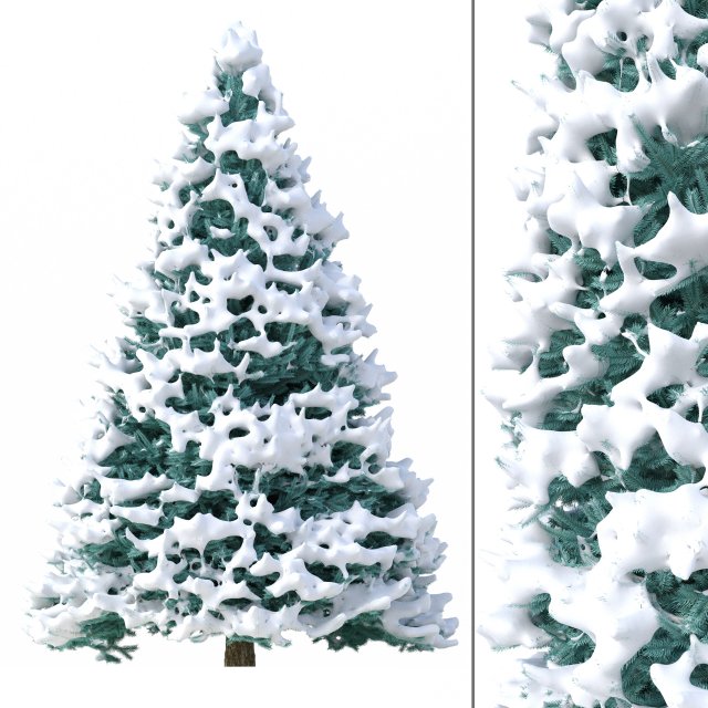 abies no 1 with snow 3D Model .c4d .max .obj .3ds .fbx .stl .blend 