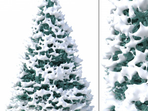 abies no 1 with snow 3D Model
