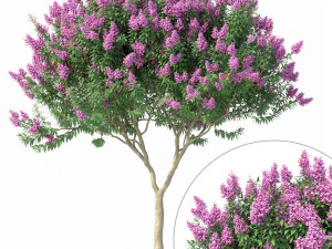 murta de crepe nº 1 com flores Modelo 3D