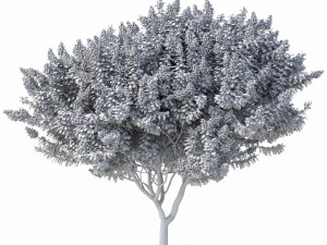 crape myrtle no 2 with flowers 3D 모델