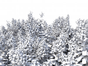 crape myrtle no 2 with flowers 3D 모델