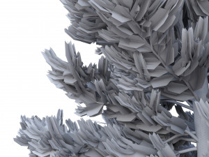 picea abies no 1 Modelo 3D