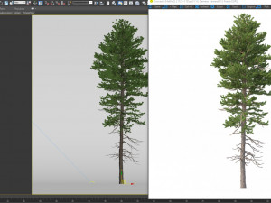 picea abies no 1 Modelo 3D