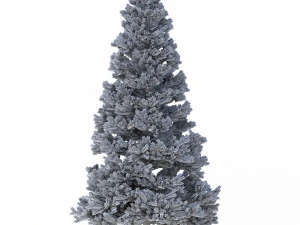 picea abies no 5 3D Model