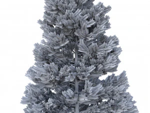 picea abies no 5 3D Model