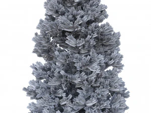 picea abies n&ordm; 6 Modelo 3D
