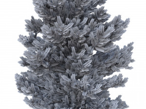 picea abies set 2 - 2 in 1 Modelo 3D
