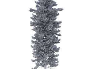 picea abies set 5 - 3 in 1 3D Модель