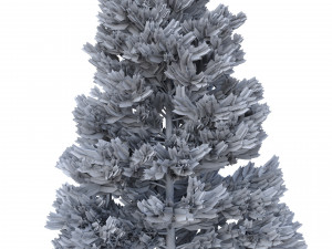 picea abies set 5 - 3 in 1 3D Модель