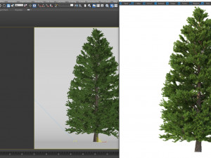 picea abies set 5 - 3 in 1 3D Модель
