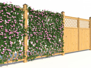 fence - mandevilla sanderi with flowers Modèle 3D