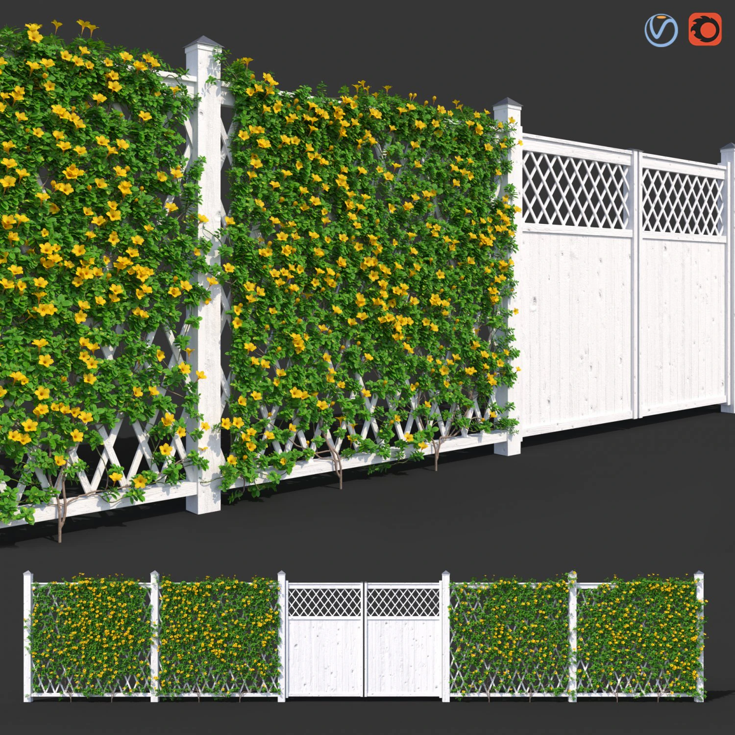 fence - mandevilla sanderi with yellow flowers 3D Model .c4d .max .obj .3ds .fbx .stl .blend