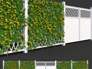fence - mandevilla sanderi with yellow flowers 3D Model