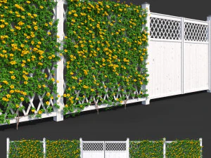 паркан - мандевіла сандері з жовтими квітками 3D Модель