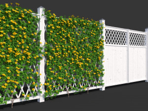 fence - mandevilla sanderi with yellow flowers 3D Model