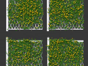 fence - mandevilla sanderi with yellow flowers 3D Model