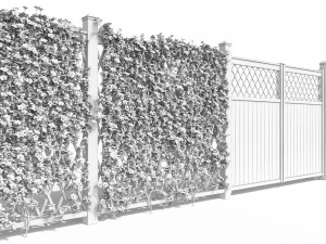 fence - mandevilla sanderi with yellow flowers 3D Model