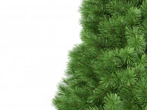 christmas tree 9 feet 3D Model