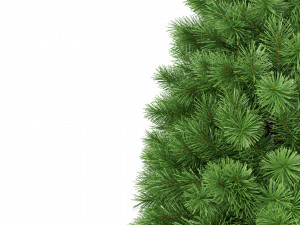 christmas tree 7 feet 3D Model