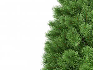 christmas tree 7 feet 3D Model