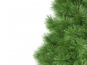 christmas tree 5 feet 3D मॉडल