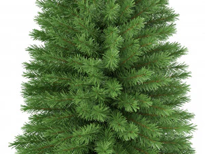 christmas tree 6 feet 3D Model