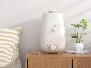 mod&eacute;lisation et rendu d'un humidificateur Modèle 3D