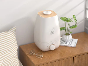 mod&eacute;lisation et rendu d'un humidificateur Modèle 3D