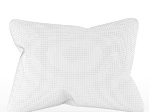 pillow 3D 模型