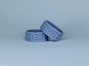 Bitcoin wedding ring R25 3D print model 3D Print Model