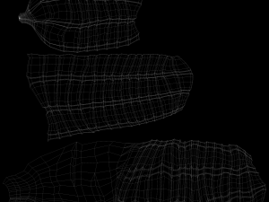 human large intestine 3D-Modell