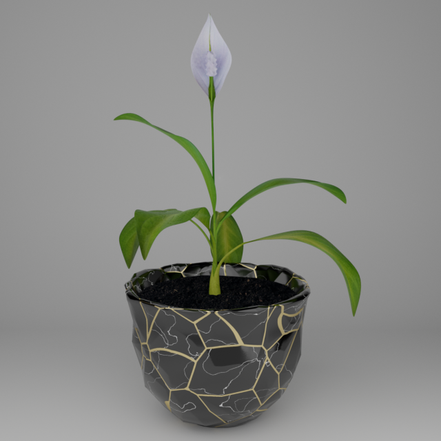 Spathiphylluminstonepot Modello 3D .c4d .max .obj .3ds .fbx .stl .blend