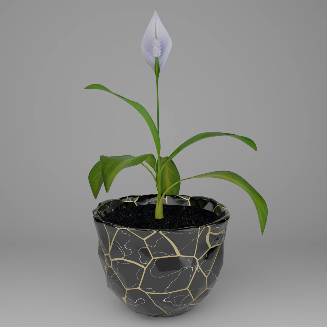 Spathiphyllum Instonepot Modello 3D .c4d .max .obj .3ds .fbx .stl .blend 