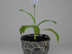 Spathiphylluminstonepot 3D Model
