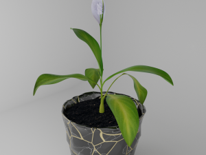 Spathiphylluminstonepot Modello 3D