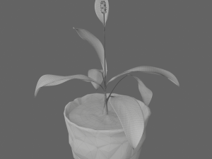 Spathiphylluminstonepot Modello 3D